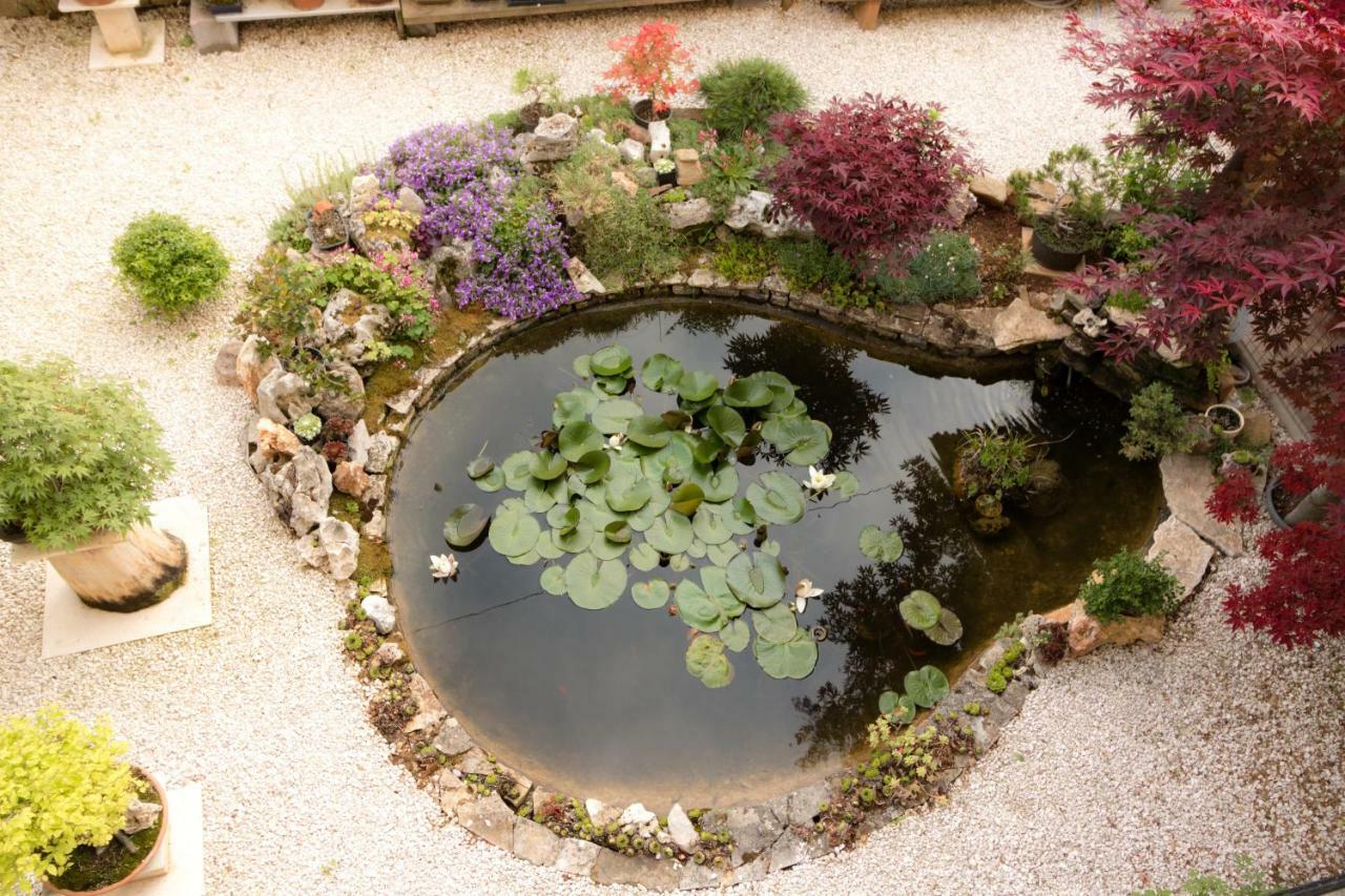 Apartment Beautiful Garden By Rent Istria Poreč Buitenkant foto